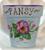 Pansy in Bloom- 4"po